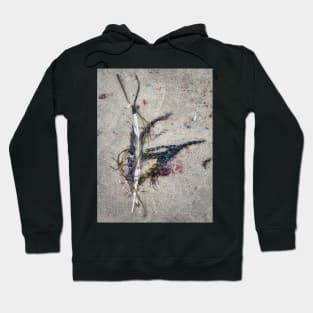 Flotsam Hoodie